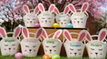 Load image into Gallery viewer, Easter Basket